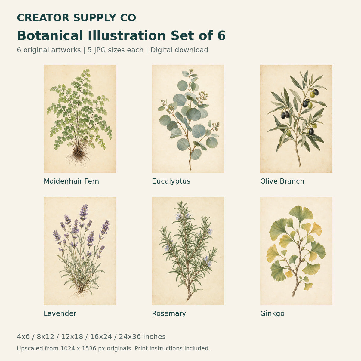 Botanical Illustration Set of 6 – printable wall art preview