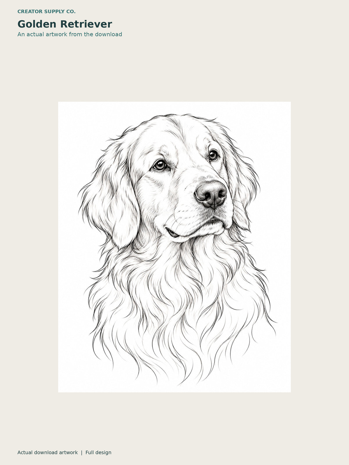 Pet Portrait Wall Art (breed prints) – black-and-white Golden Retriever portrait with detailed fur and a white background
