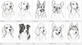Pet Portrait Wall Art (breed prints) – printable wall art preview